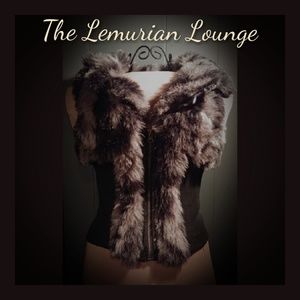 Faux Fur Zip Up Vest